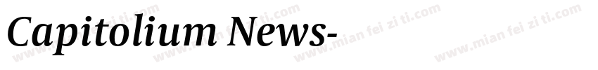 Capitolium News字体转换